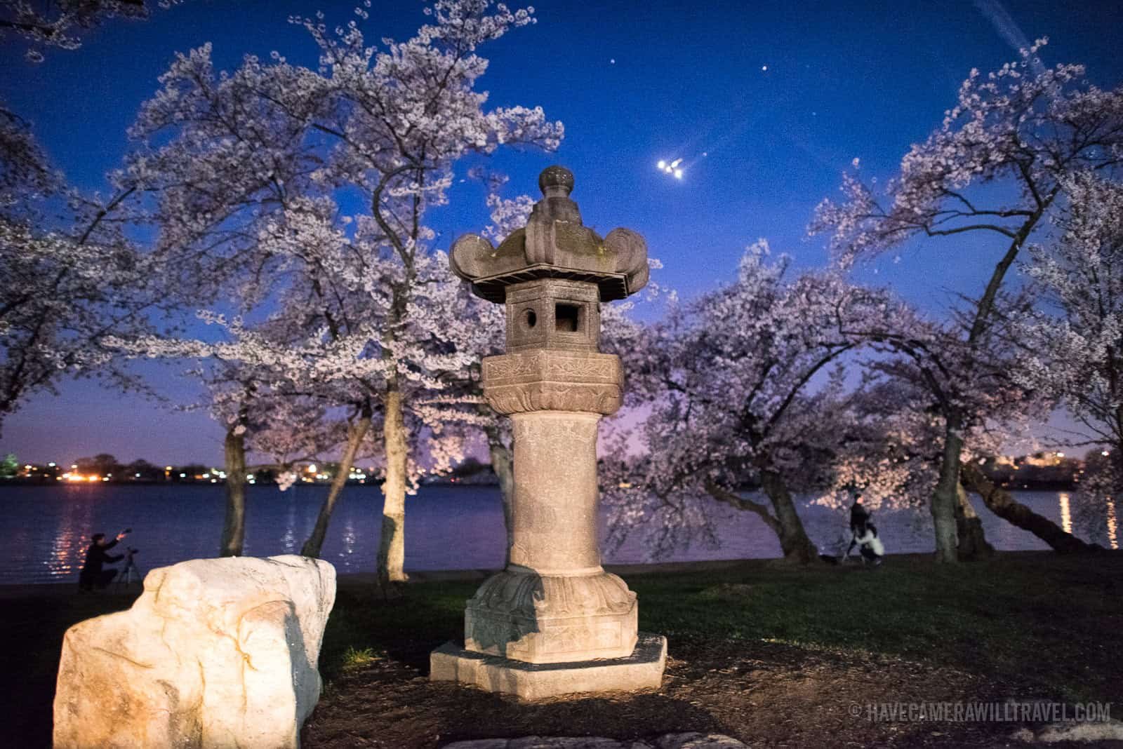 🌸 벚나무 신사(사쿠라기 진자) 이미지 8